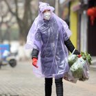Scienziati cinesi: «L'incubazione potrebbe durare fino a 24 giorni»