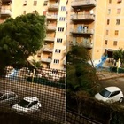 Video Il crollo del pino in diretta a Roma
