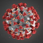 Coronavirus, tutto quello che c'è da sapere: sintomi, contagio e cure più efficaci
