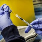 Vaccini? No, iniettava acqua fisiologica: medico di Velletri denunciato per corruzione