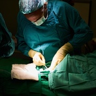 Incidente sul lavoro, operaio perde entrambe le mani: i chirurgi gliele reimpiantano. L'intervento straordinario