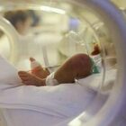 Virus sinciziale, allarme neonati