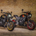 Suzuki, due moto moderne ispirate a modelli storici: GSX 8T e 8TT per palati fini