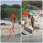 Incendio nel Salento tra spiagge e case vacanze: scoppia il panico tra turisti e residenti ...