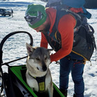 «Non rispondono alle telefonate», l'influencer Thomas Colussa sfonda l'ingresso della clinica San Marco dov'era ricoverato il cane Numb