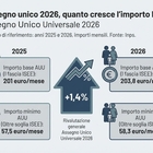 immagine Assegno unico, chi già lo riceve non deve rifare la domanda. Isee da aggiornare da marzo per evitare l'importo minimo
