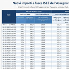 immagine Assegno unico febbraio 2026, ultimo mese con 