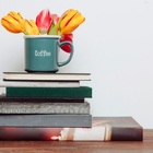 immagine I libri imperdibili del mese di febbraio: novità fresche di stampa per appassionati di lettura