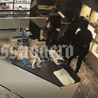 immagine Rapina a Euroma2: 5 banditi incappucciati e armati prendono i dipendenti in ostaggio e fuggono con i gioielli. Caccia ai rapinatori