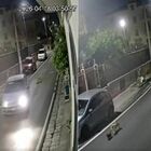 immagine Abbandona la cagnolina che muore investita, il padrone rischia fino a sette anni di carcere: orrore ad Aversa