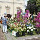immagine Perugia, torna Flower Show: 70 espositori e visitatori anche da fuori regione
