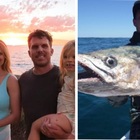 immagine Ucciso da uno squalo bianco in Australia, chi era Steven Mattaboni: stava pescando, divorato davanti agli amici