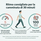 immagine Una passeggiata può funzionare più della palestra (ma a patto di seguire regole precise): ecco cosa fare per vivere meglio