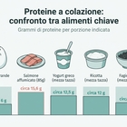 immagine Colazione proteica, cosa mangiare e i benefici: quattro alternative alle uova, dal salmone allo yogurt