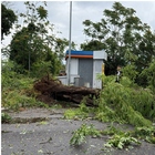 immagine Bomba d'acqua a Roma, tromba d'aria a Conca d'Oro: alberi sradicati e danni alle auto. Chiuso tratto Tangenziale, disagi dal Salario ai Parioli