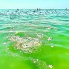 immagine Domenica rovente, ma al mare di Latina brutta sorpresa: allertata l'Arpa
