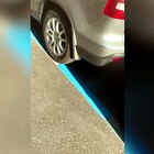 Roma, parcheggia l'auto nelle strisce bianche e le ritrova blu con tanto di multa: il video diventa virale