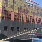 MSC spinge sulla transizione: per la prima volta una nave porta container agganciata al sistema cold ironing