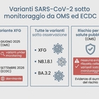 Covid, contagi in aumento in Italia: quali sono le varianti che circolano nell'autunno 2026