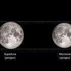 Nella notte della Super Luna anche un'eclissi, ma non sarà visibile dall'Italia