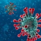Varianti del virus, dove circolano