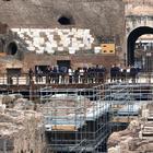 Pompeo al Colosseo, tour guidato tra arena e sotterranei