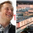Tesla, Musk fa riaprire lo stabilimento nonostante la pandemia: 450 dipendenti positivi al Covid