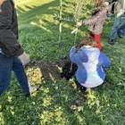Narni, festa dell'albero. I bambini della primaria mettono a dimora nuove piante