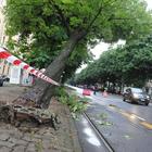 Maltempo e paura a Torino: «Caduti 40 cm di grandine». Auto e furgone in sottopasso allagato, salvi i conducenti