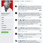Grillo: la xylella è una bufala. Rivolta online, gli utenti lo attaccano: «Colpevole disinformazione» Grillo: la xylella è una bufala. Rivolta online, gli utenti lo attaccano: «Colpevole disinformazione»
