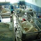 Aborti, in Italia diminuiscono ma 7 ginecologi su 10 sono obiettori. Le associazioni: «Ritardi per il Covid-19»