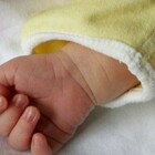 Bologna, neonato trovato morto in culla