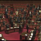Senato approva dl contro violenza su donne, applauso in Aula