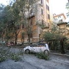 Roma, alberi killer, I municipio: «8mila a rischio, ne hanno abbattuti solo 157»