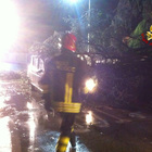 Ondata di maltempo nella notte: alberi caduti,  54enne miracolato
