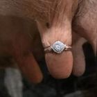 L'anello? Lo indossa la mucca: la proposta di matrimonio del contadino fa il giro del mondo