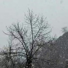 Nevicata nel Reatino