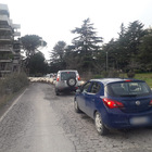 Roma, le pecore invadono la strada e il traffico va in tilt: automobilisti increduli