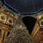 Milano, la boutique Swarovski di Galleria Vittorio Emanuele all'asta: si parte da 500 mila euro