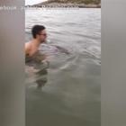 Il delfino si lascia accarezzare dai bagnanti a Peschici, sul Gargano