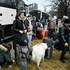 Profughi ucraini come i No vax: ecco cosa potranno fare in Italia (dopo il test antigenico obbligatorio)
