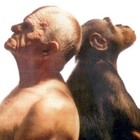 Darwin ha ancora tanto da insegnarci. Per questo va studiato Darwin ha ancora tanto da insegnarci. Per questo va studiato