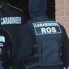 Mafia, confiscato il tesoro degli eredi di Cosa Nostra: ville e terreni per 4 milioni di euro