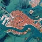Venezia, la laguna è blu e il Canal Grande deserto Guarda le foto e i raffronti di un anno fa