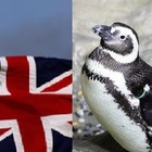 Pinguini: «Tra Covid e Brexit, portarli in Irlanda è stato un miracolo»
