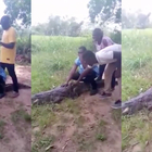 Ghana, il selfie con il coccodrillo non è una buona idea: turista ferita