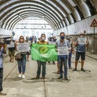 immagine Galleria Vittoria di Napoli, dopo 10 mesi via libera al cantiere: «Lavori dal 2 agosto»