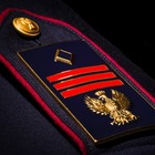La Polizia di Stato festeggia l'anniversario con i nuovi distintivi: l'aquila cambia stile
