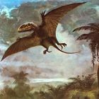 Cina, scoperto un dinosauro-uccello antenato del Velociraptor: è il "drago danzante"