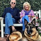 Biden annuncia la morte del suo cane Champ: «Mi mancherà»